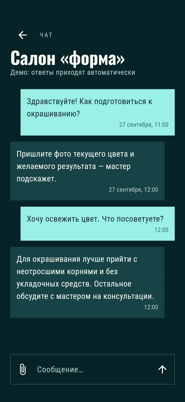 Форма: чат с салоном